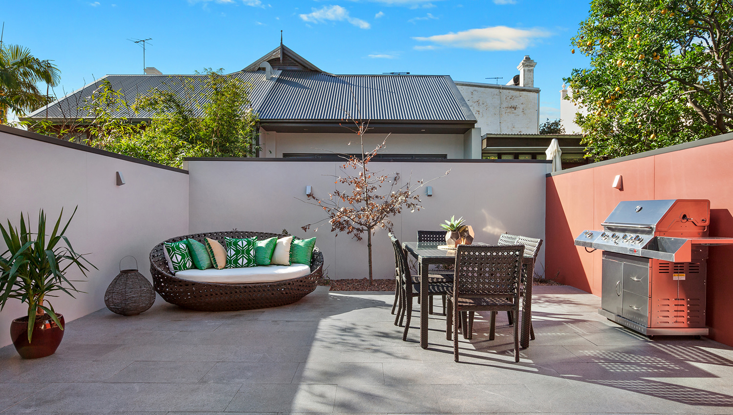 st-mary-st-50-newtown-backyard-1